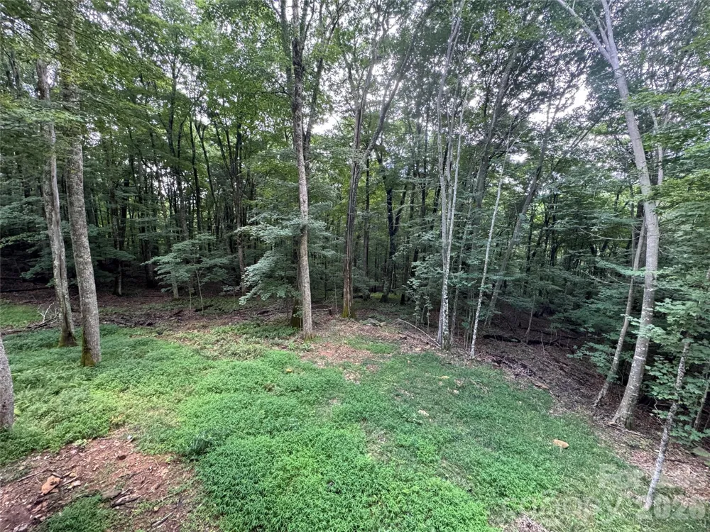 54 Hamlin Lane Mars Hill, NC 28754
