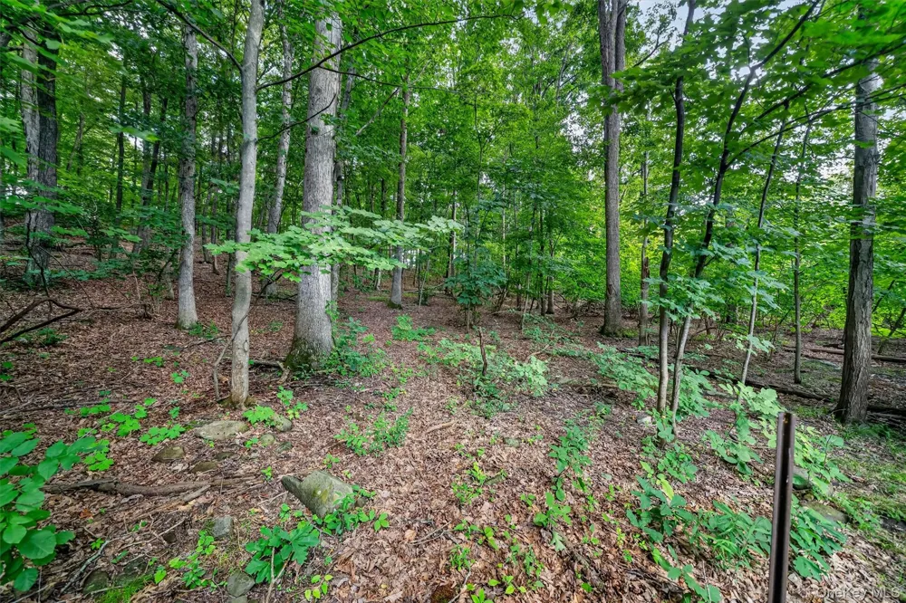368 Old Dutch Hollow Road Greenwood Lake, NY 10925
