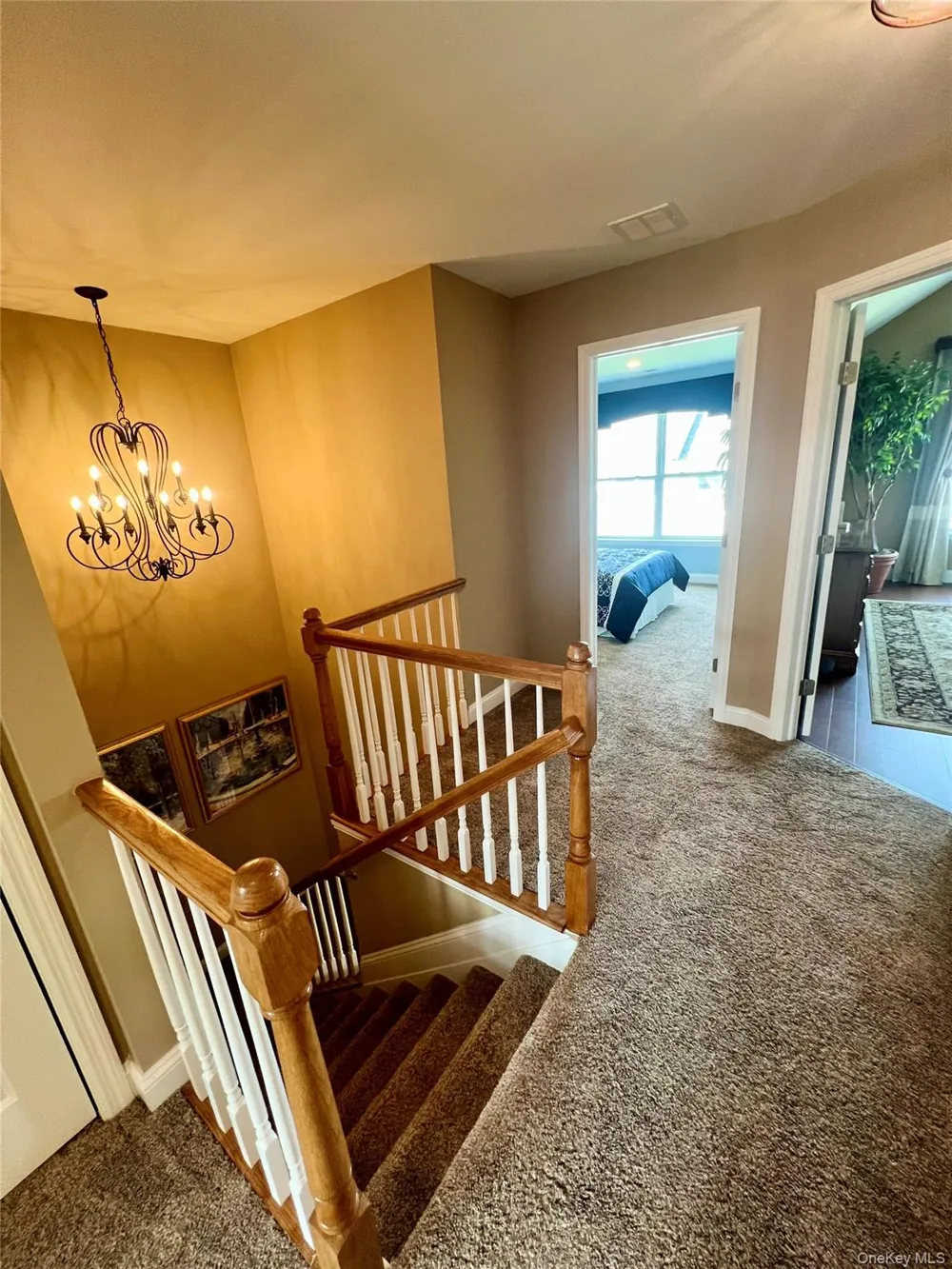 11 Willow Terrace #11 Coram, NY 11727