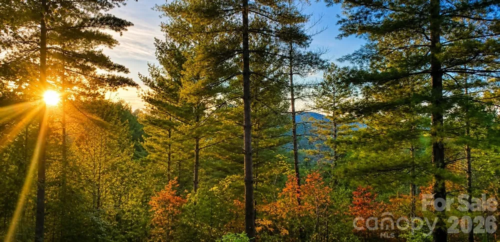 120 Johns Ridge Parkway #120 Lenoir, NC 28645