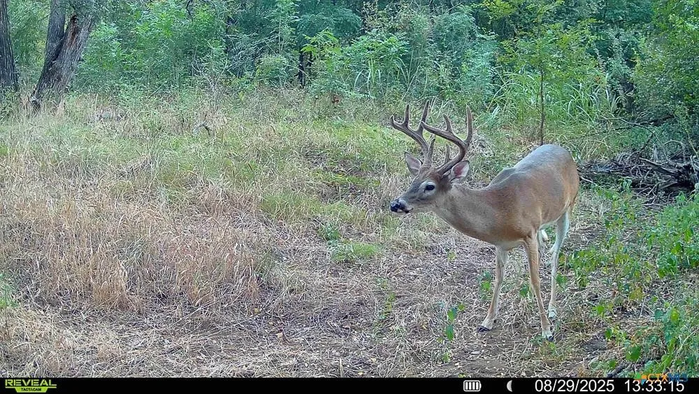 MCLENNAN ROAD Troy, TX 76579