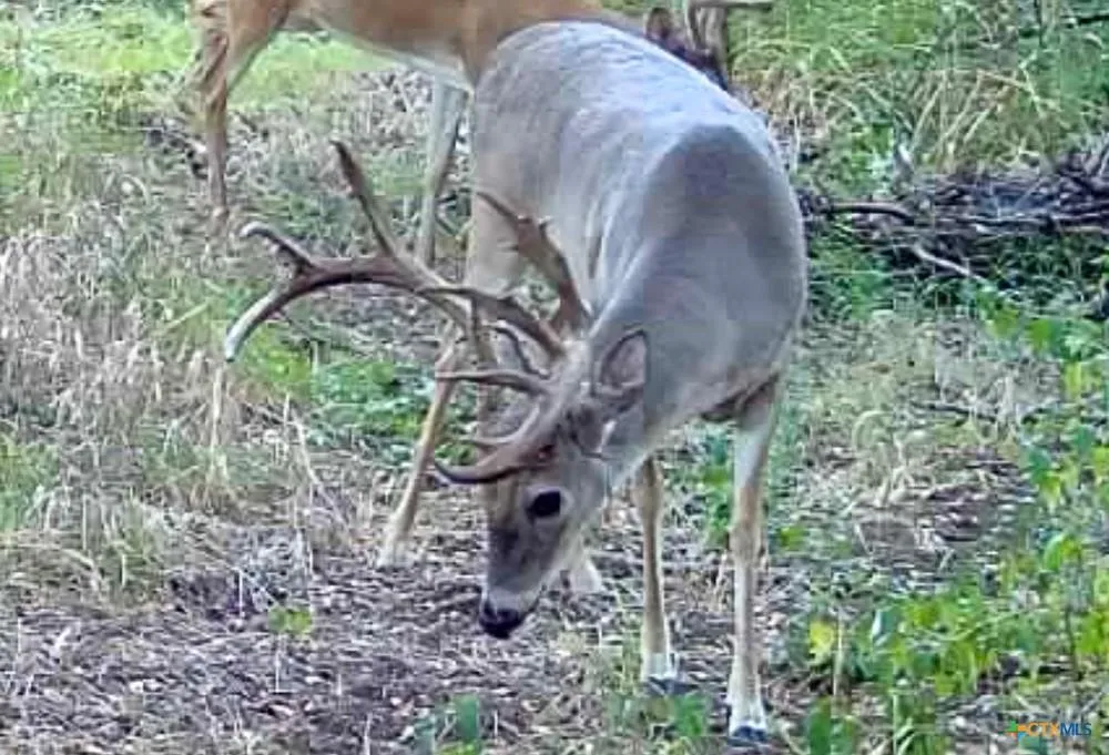 MCLENNAN ROAD Troy, TX 76579