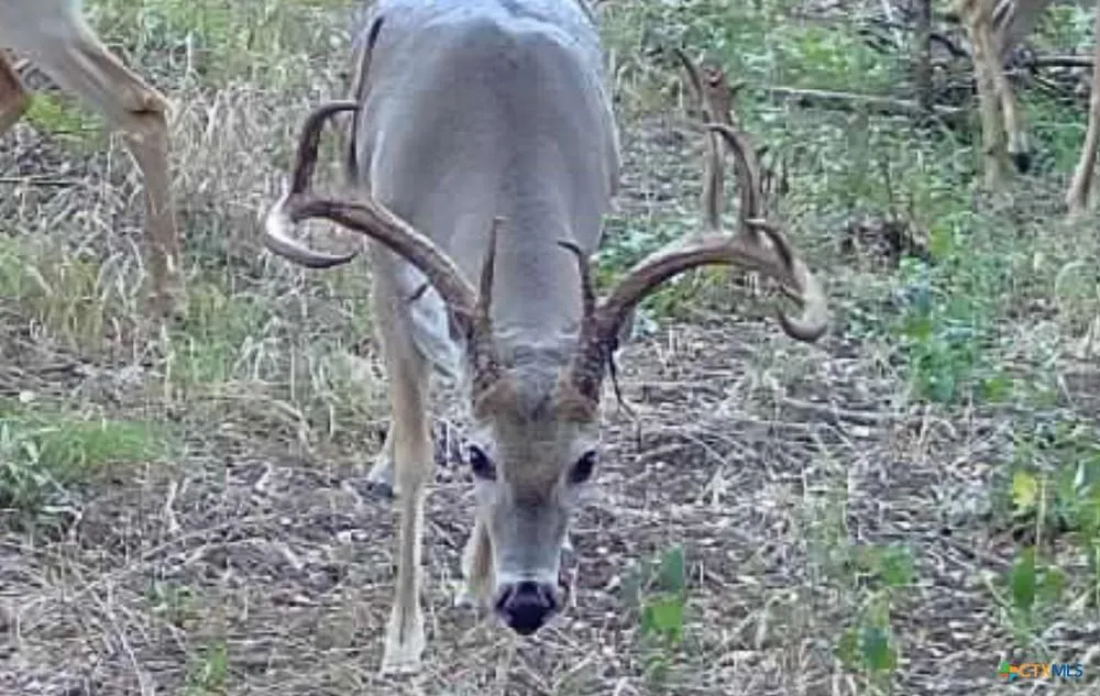 MCLENNAN ROAD Troy, TX 76579