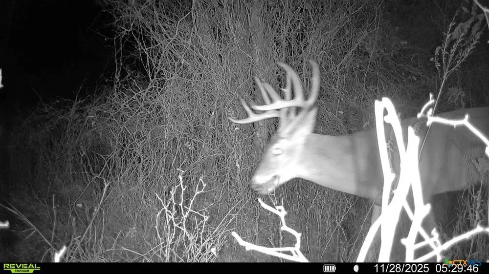 MCLENNAN ROAD Troy, TX 76579