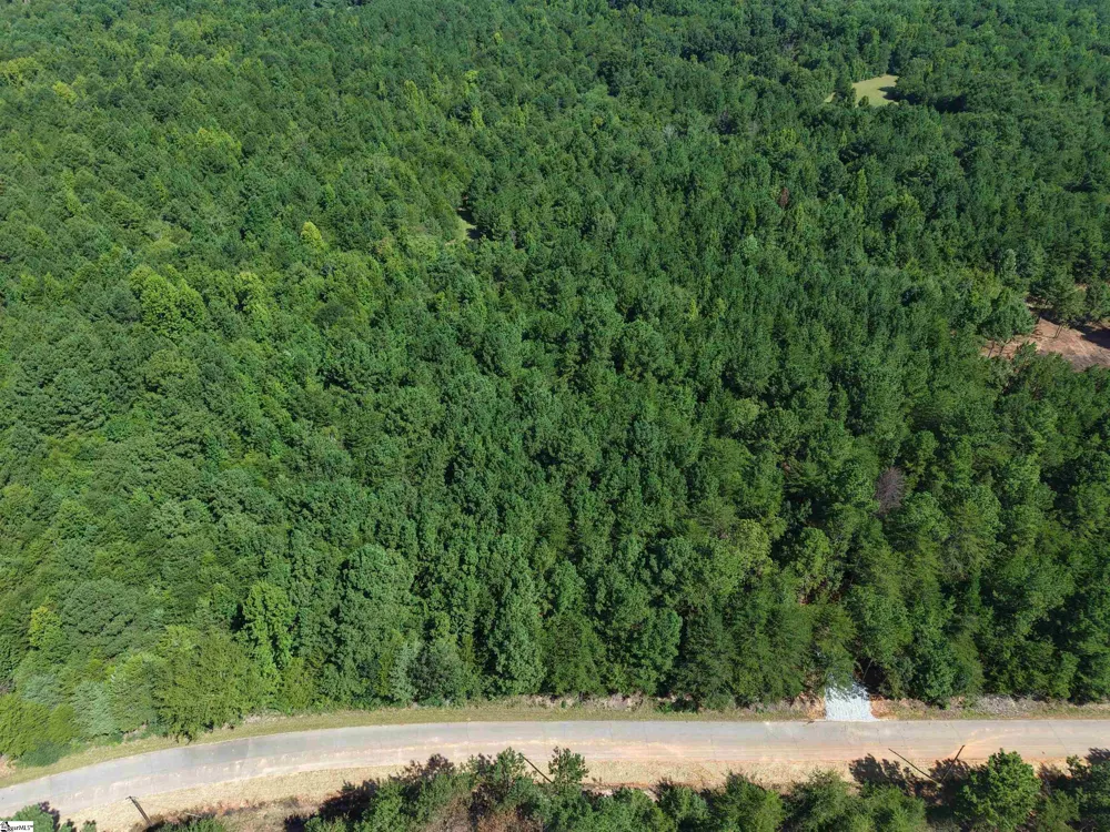 00 Owens Drive Laurens, SC 29360