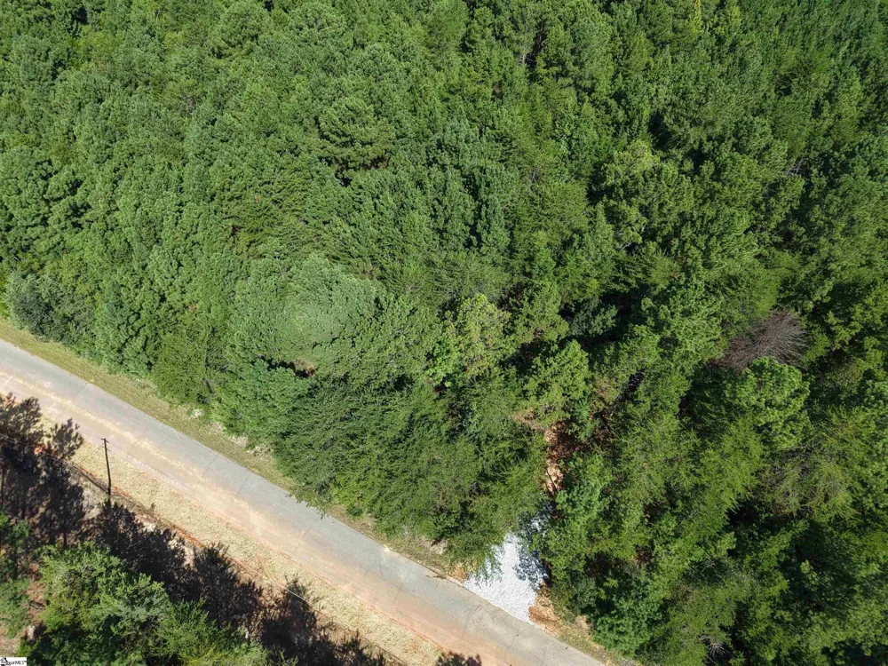 00 Owens Drive Laurens, SC 29360