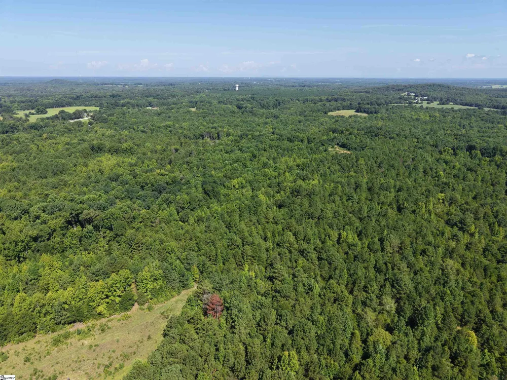 00 Owens Drive Laurens, SC 29360