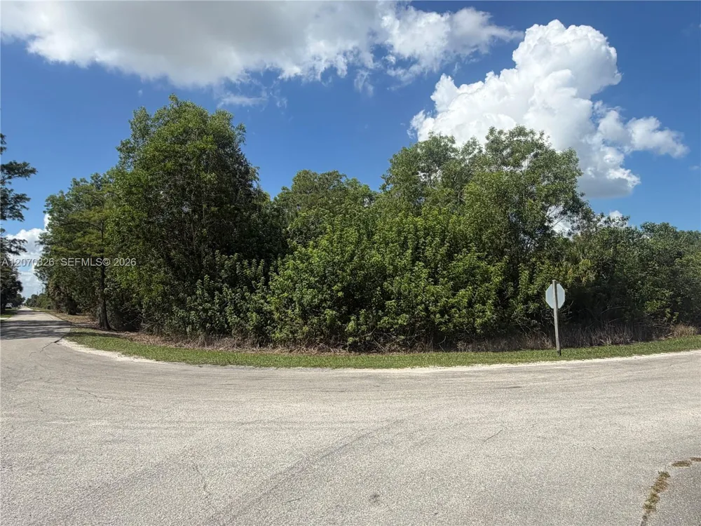 19556 Black Falcon Rd Loxahatchee, FL 33470