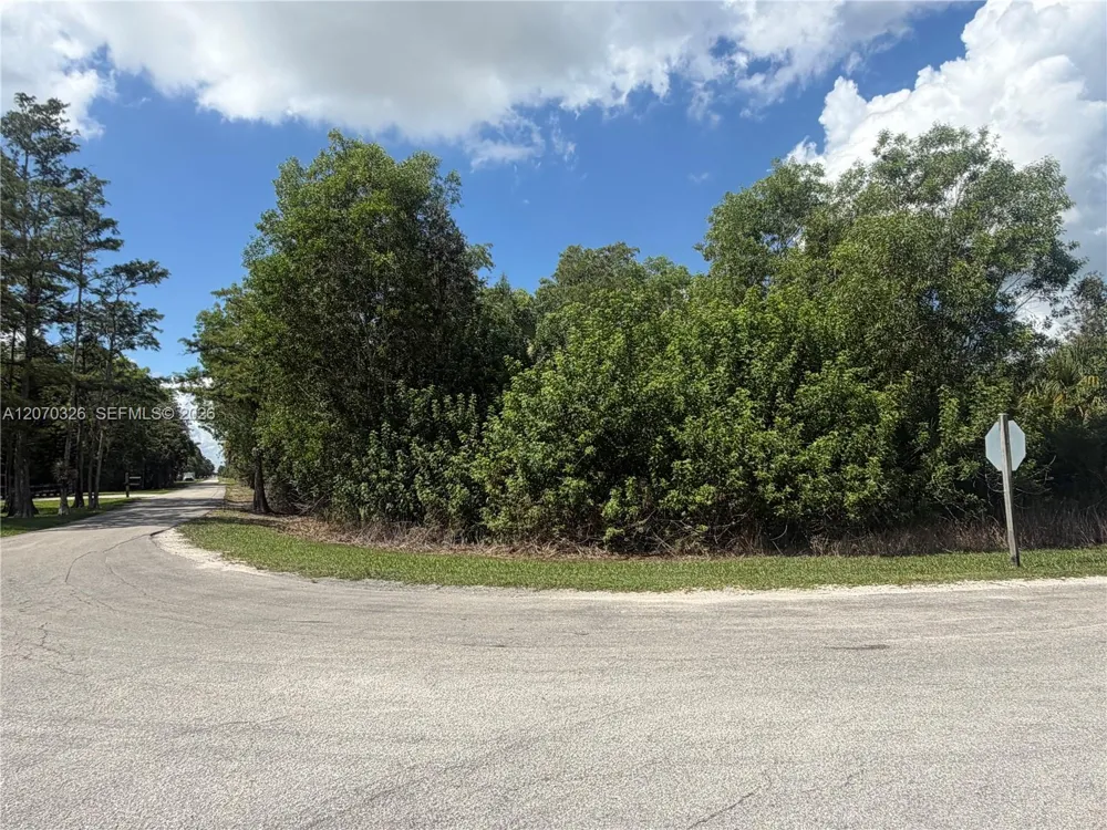 19556 Black Falcon Rd Loxahatchee, FL 33470