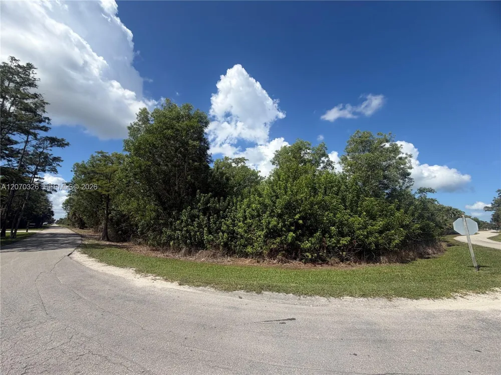 19556 Black Falcon Rd Loxahatchee, FL 33470