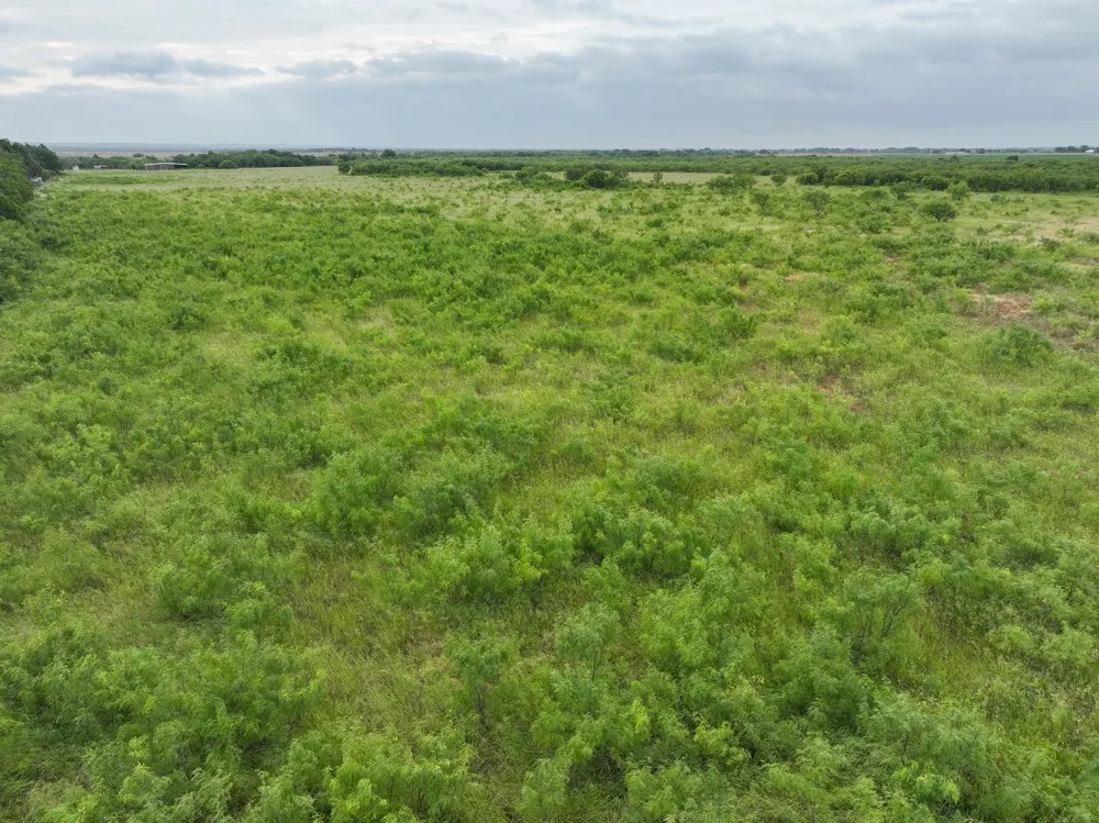 147 Porcupine Trail Tuscola, TX 79562
