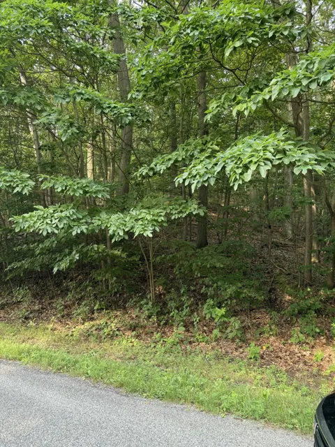 Wildwood Drive