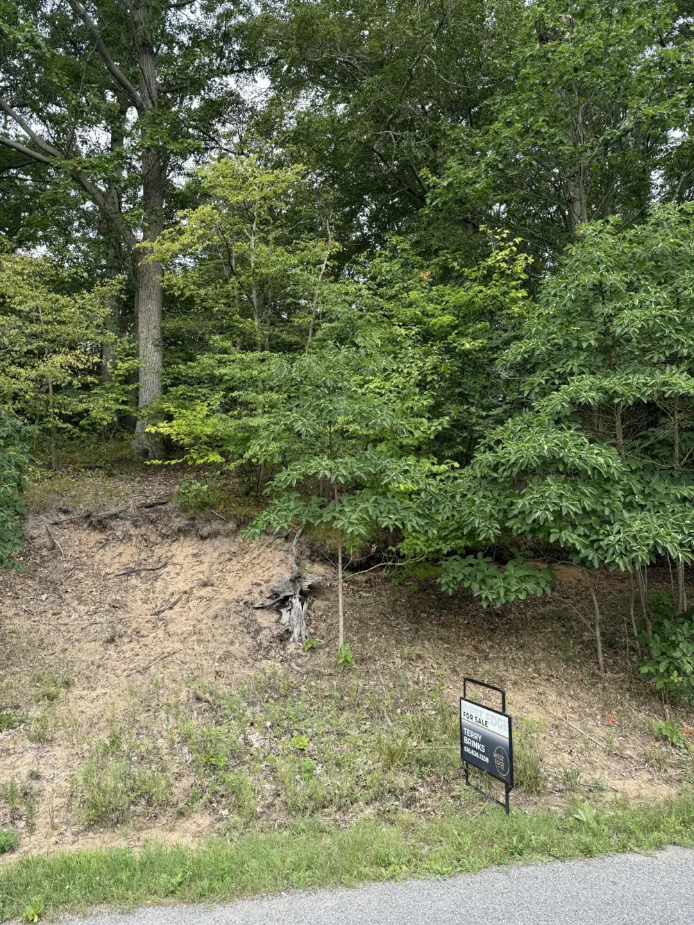 Wildwood Drive West Olive, MI 49460