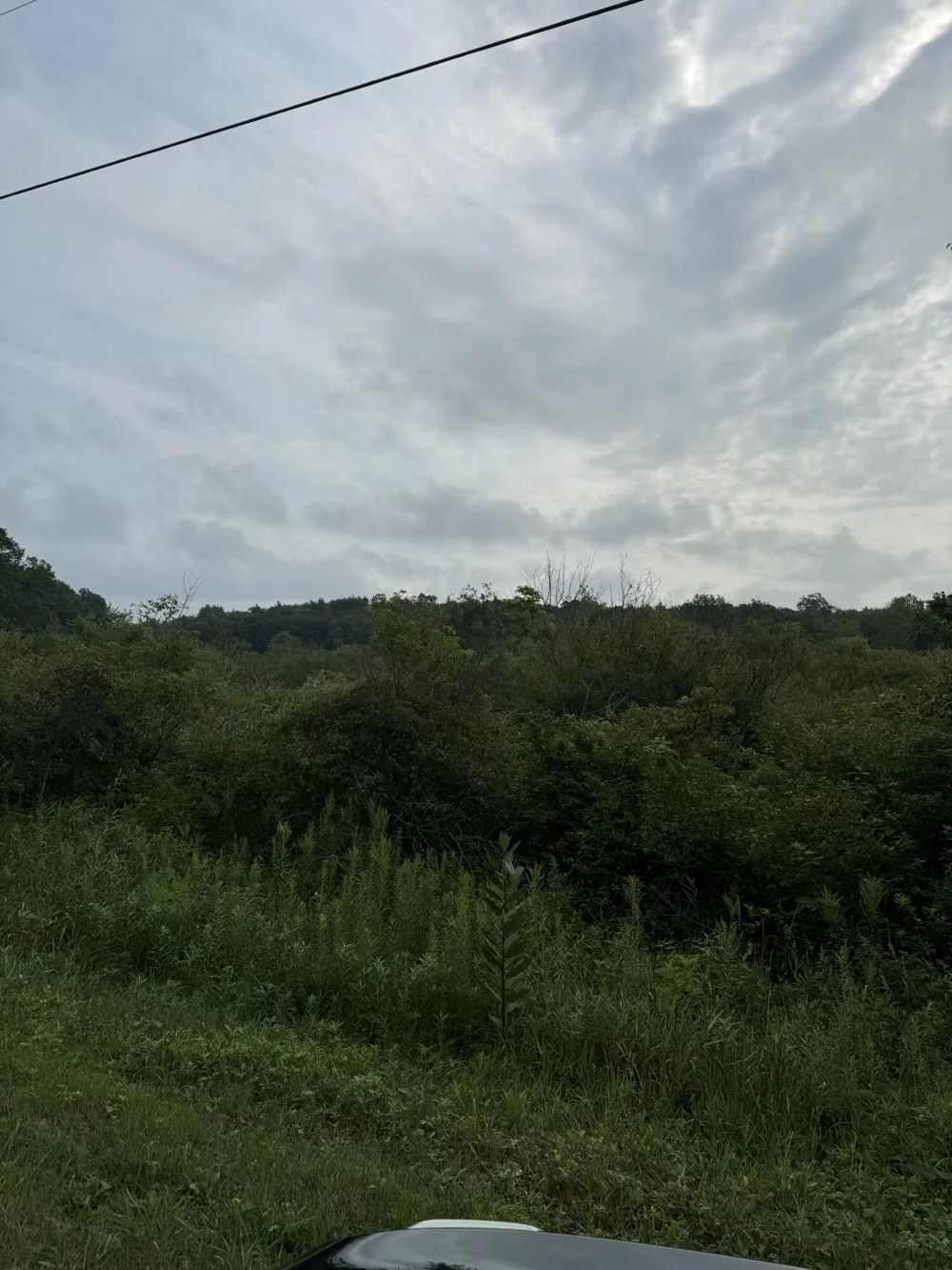 Wildwood Drive West Olive, MI 49460