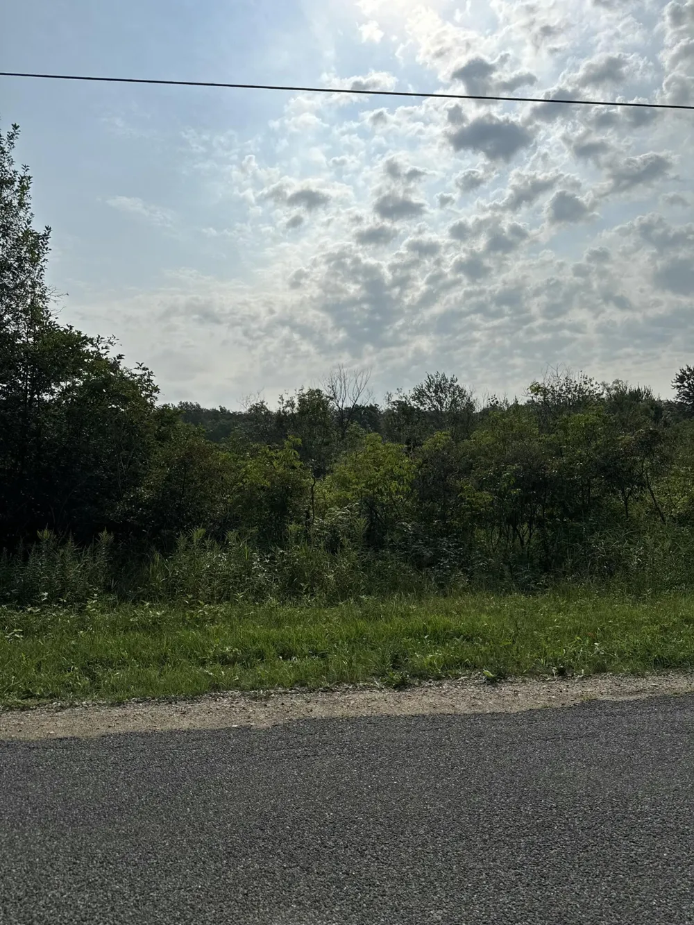 Wildwood Drive West Olive, MI 49460
