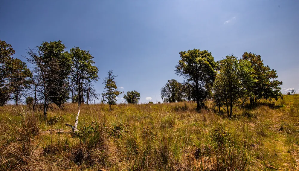 County Road Bartlesville, OK 74003