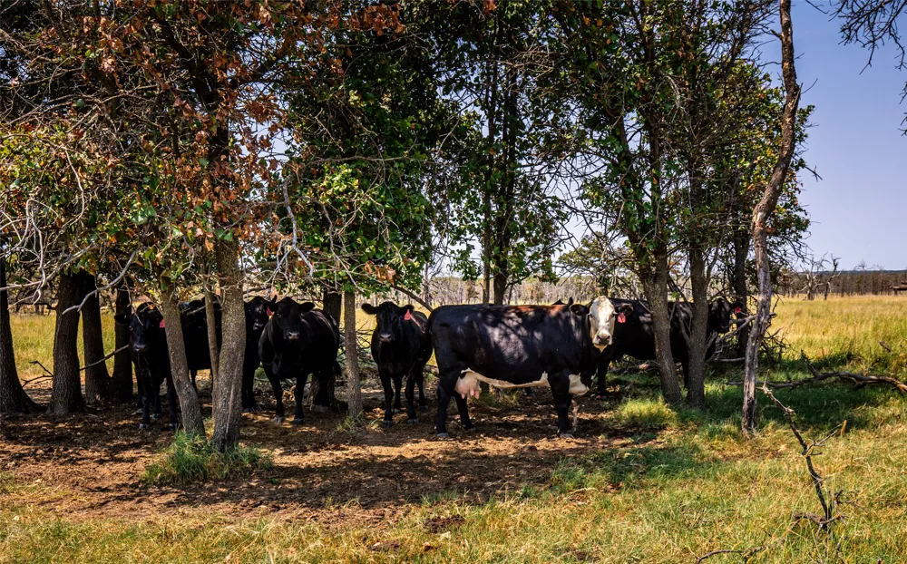 County Road Bartlesville, OK 74003