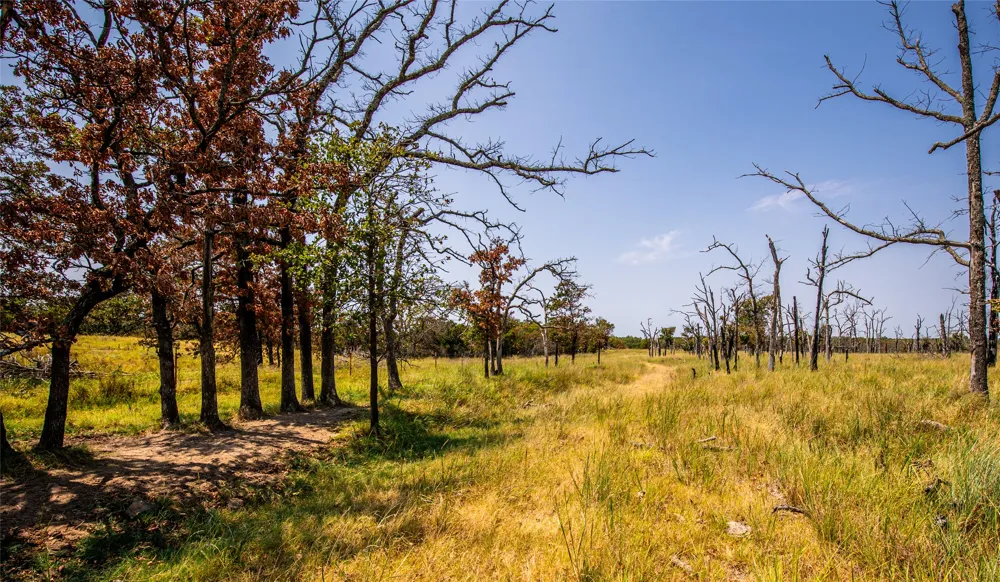 County Road Bartlesville, OK 74003