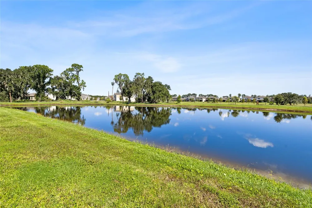 14886 SUMMER BRANCH DRIVE Lithia, FL 33547