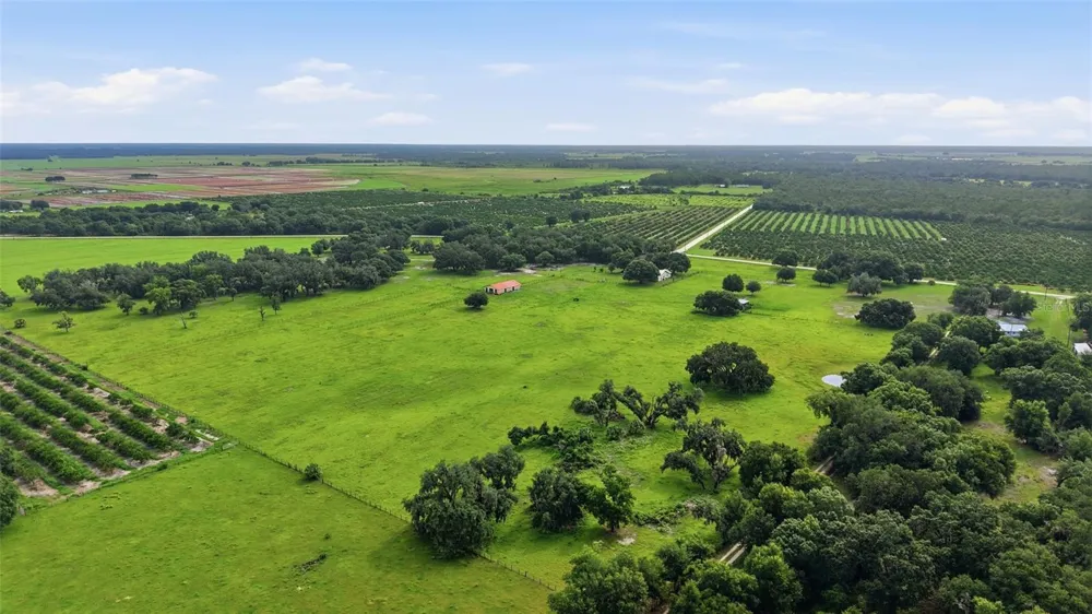 6902 JOHNSTON ROAD Zolfo Springs, FL 33890