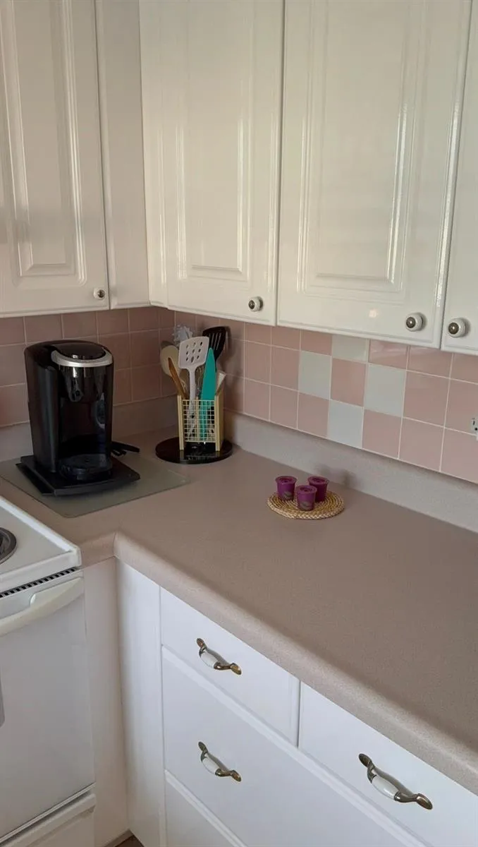 725 Lori Drive #313 Palm Springs, FL 33461
