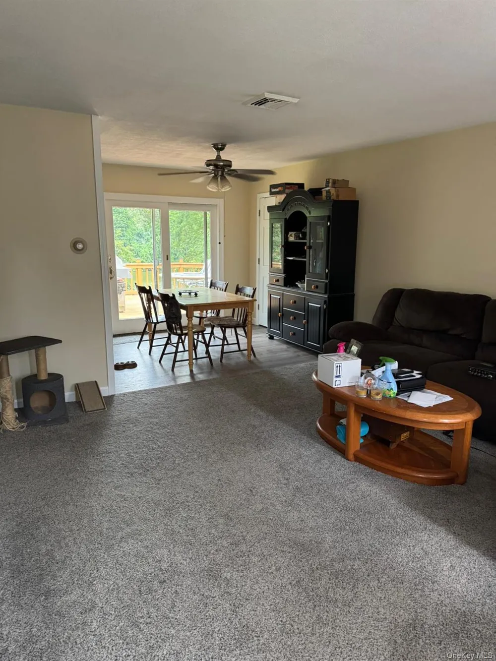 1 Tappan Drive Monroe, NY 10950