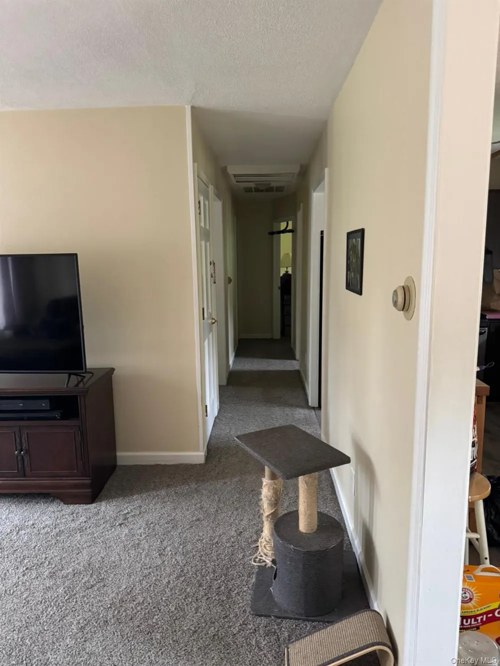 1 Tappan Drive Monroe, NY 10950