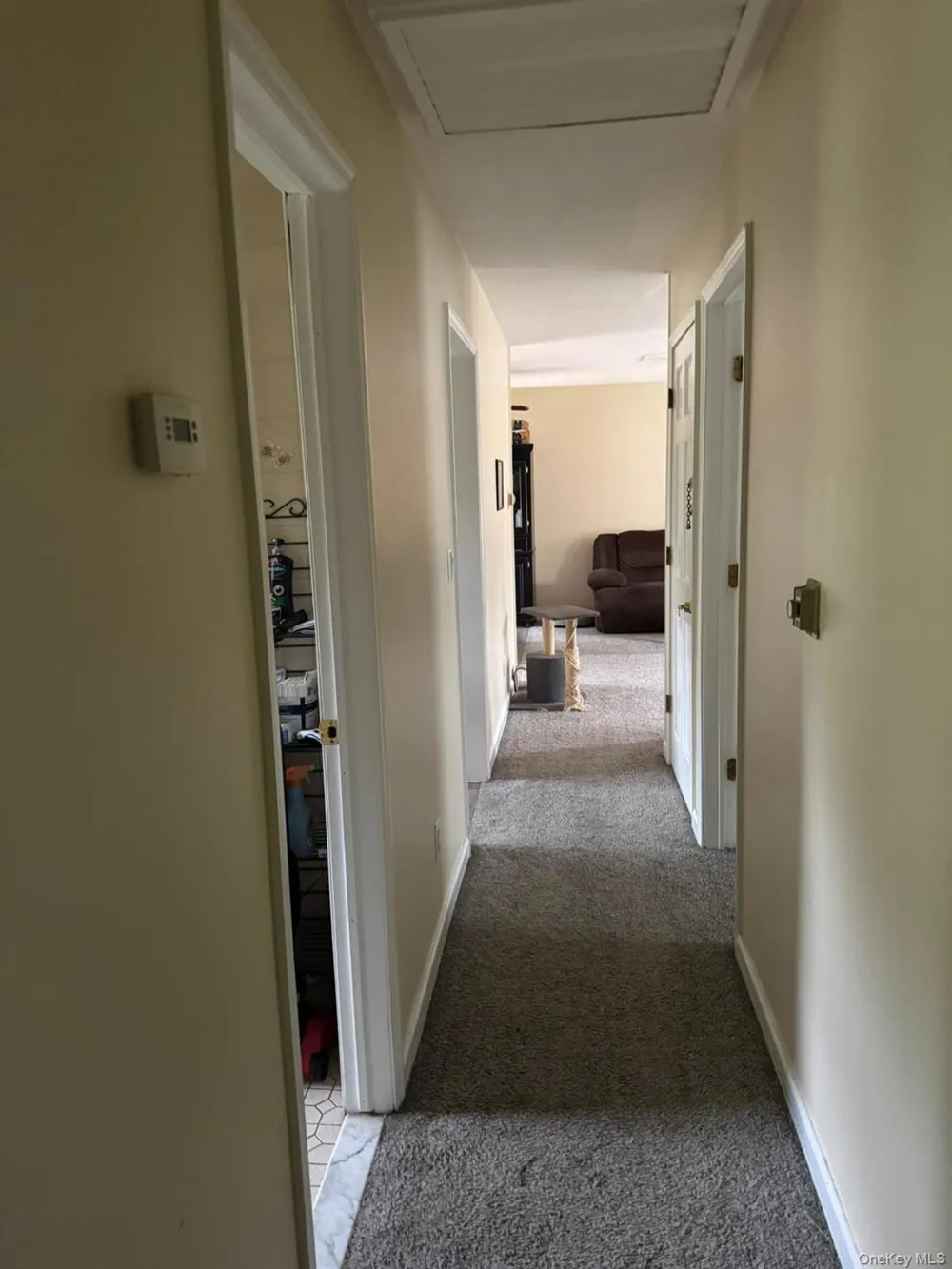 1 Tappan Drive Monroe, NY 10950