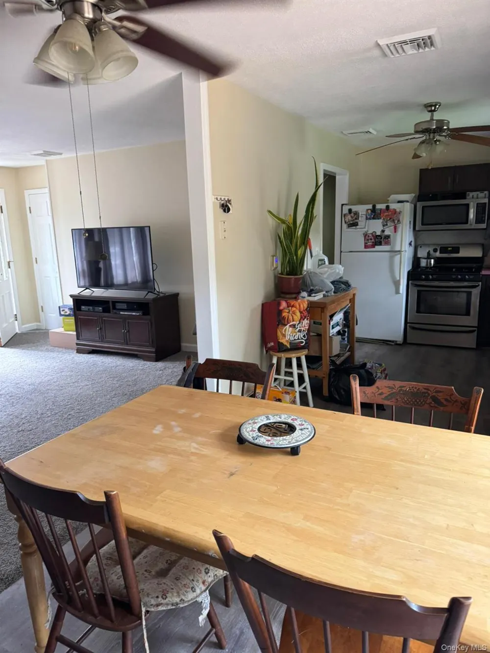 1 Tappan Drive Monroe, NY 10950