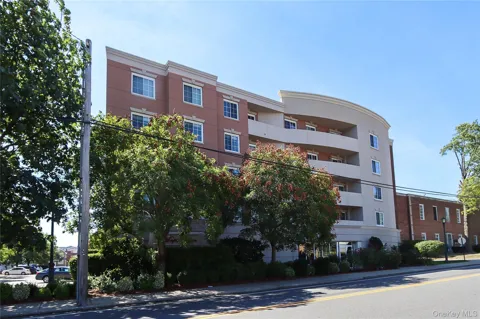 242 Maple Avenue #407