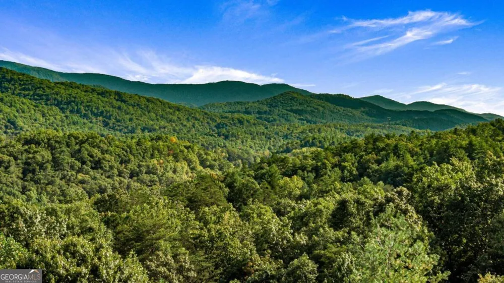 351 S Dream Catcher Blue Ridge, GA 30513