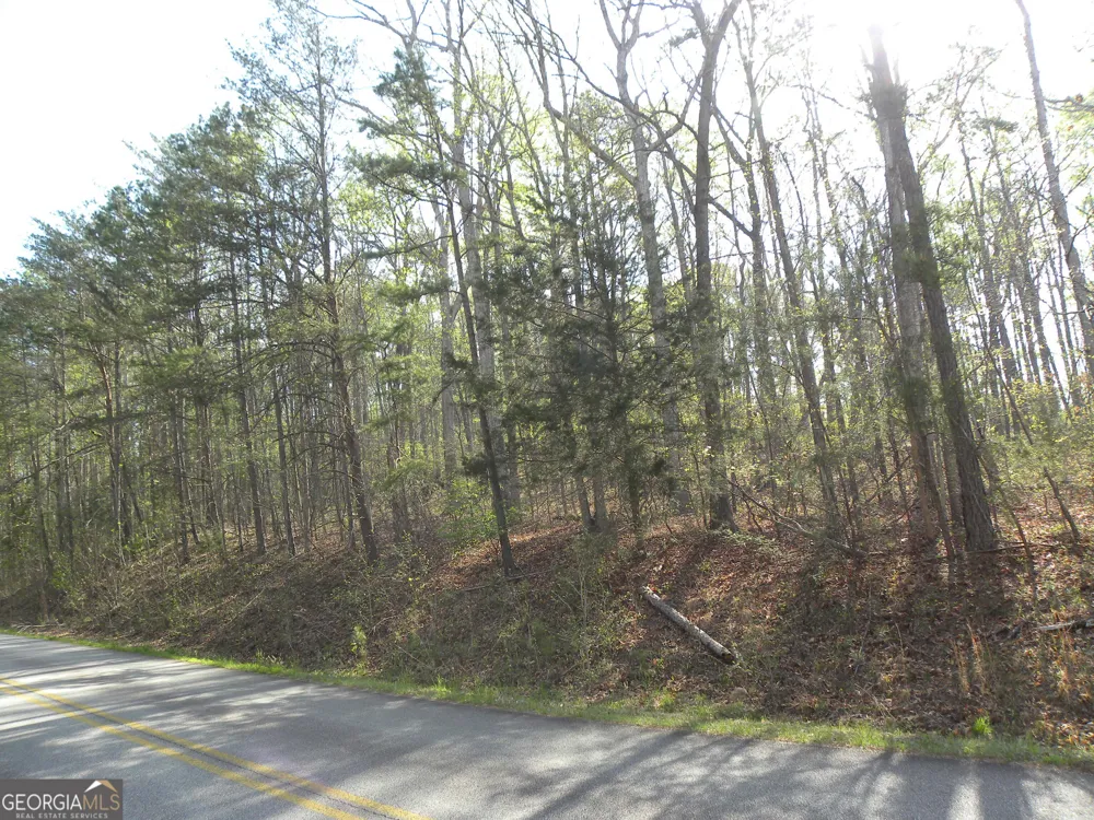 1323 Seven Forks RD Martin, GA 30557