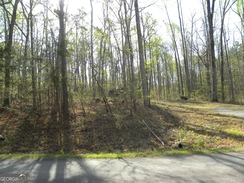 1323 Seven Forks RD Martin, GA 30557