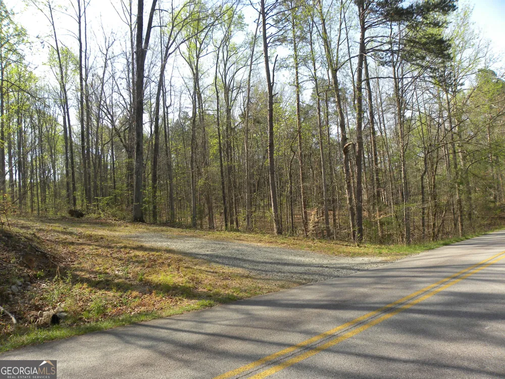 1323 Seven Forks RD Martin, GA 30557