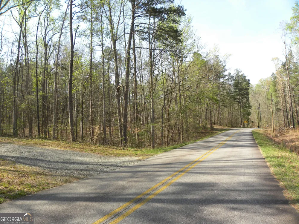 1323 Seven Forks RD Martin, GA 30557
