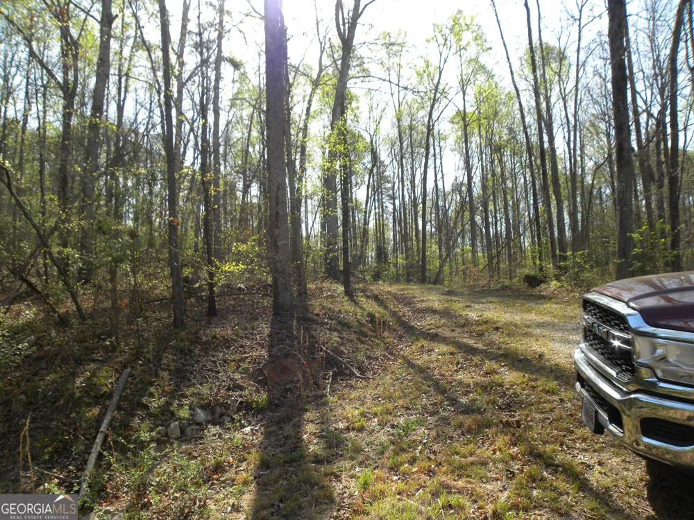 1323 Seven Forks RD Martin, GA 30557