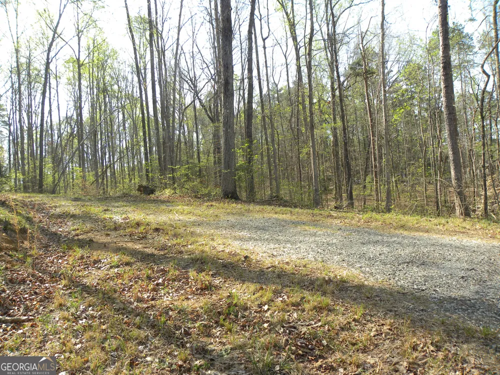 1323 Seven Forks RD Martin, GA 30557