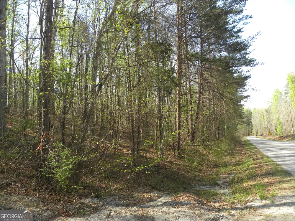 1323 Seven Forks RD Martin, GA 30557