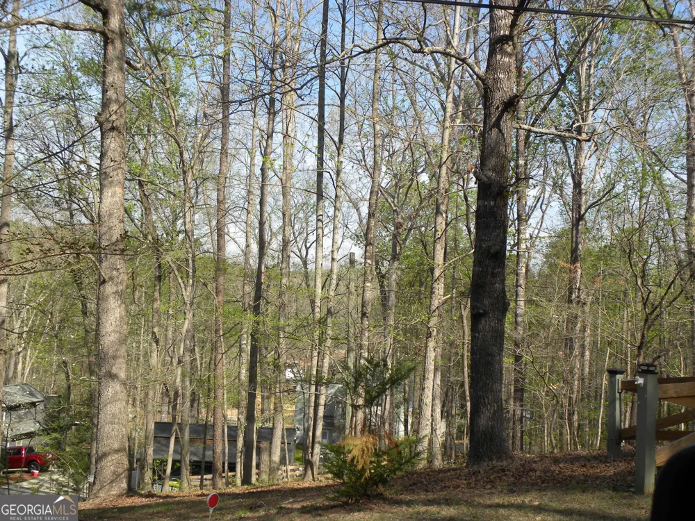 1323 Seven Forks RD Martin, GA 30557