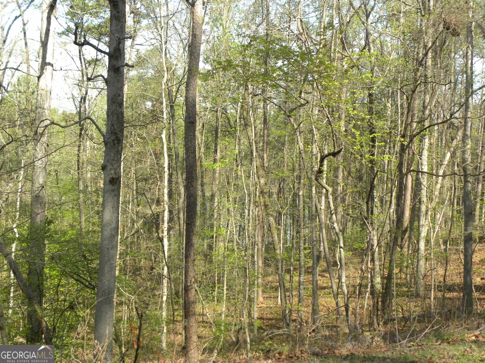 1323 Seven Forks RD Martin, GA 30557