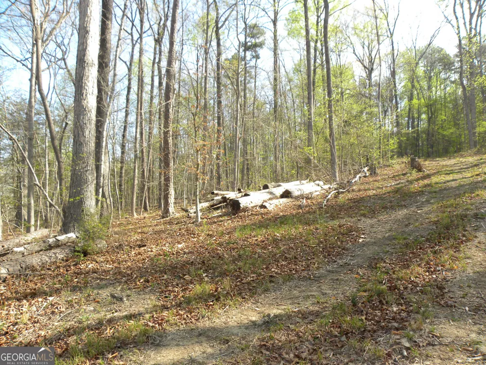 1323 Seven Forks RD Martin, GA 30557