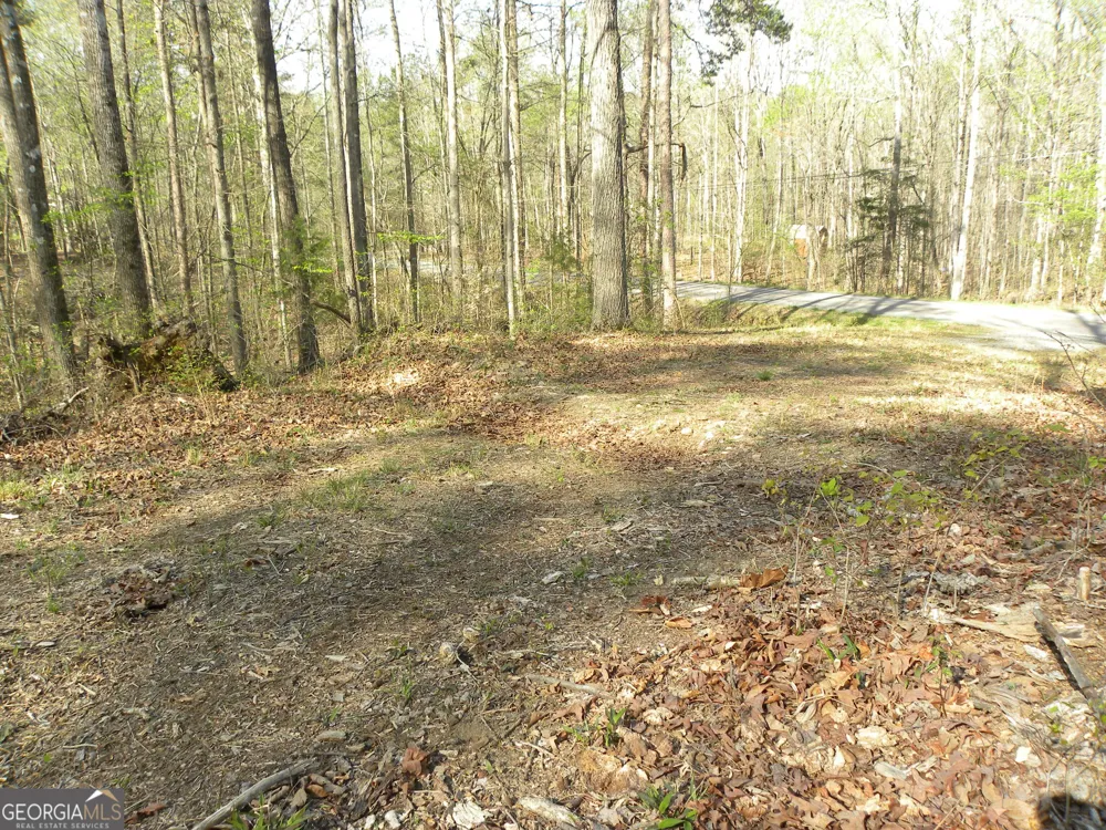 1323 Seven Forks RD Martin, GA 30557