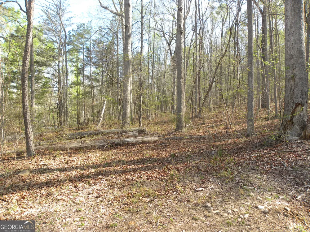 1323 Seven Forks RD Martin, GA 30557