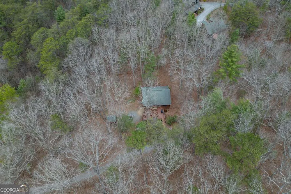 145 Fox Run LN Blue Ridge, GA 30513