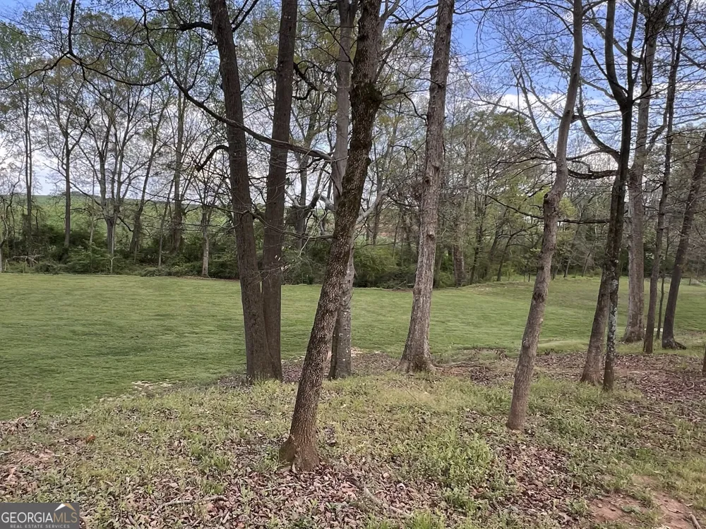 3386 Chandler RD Good Hope, GA 30641