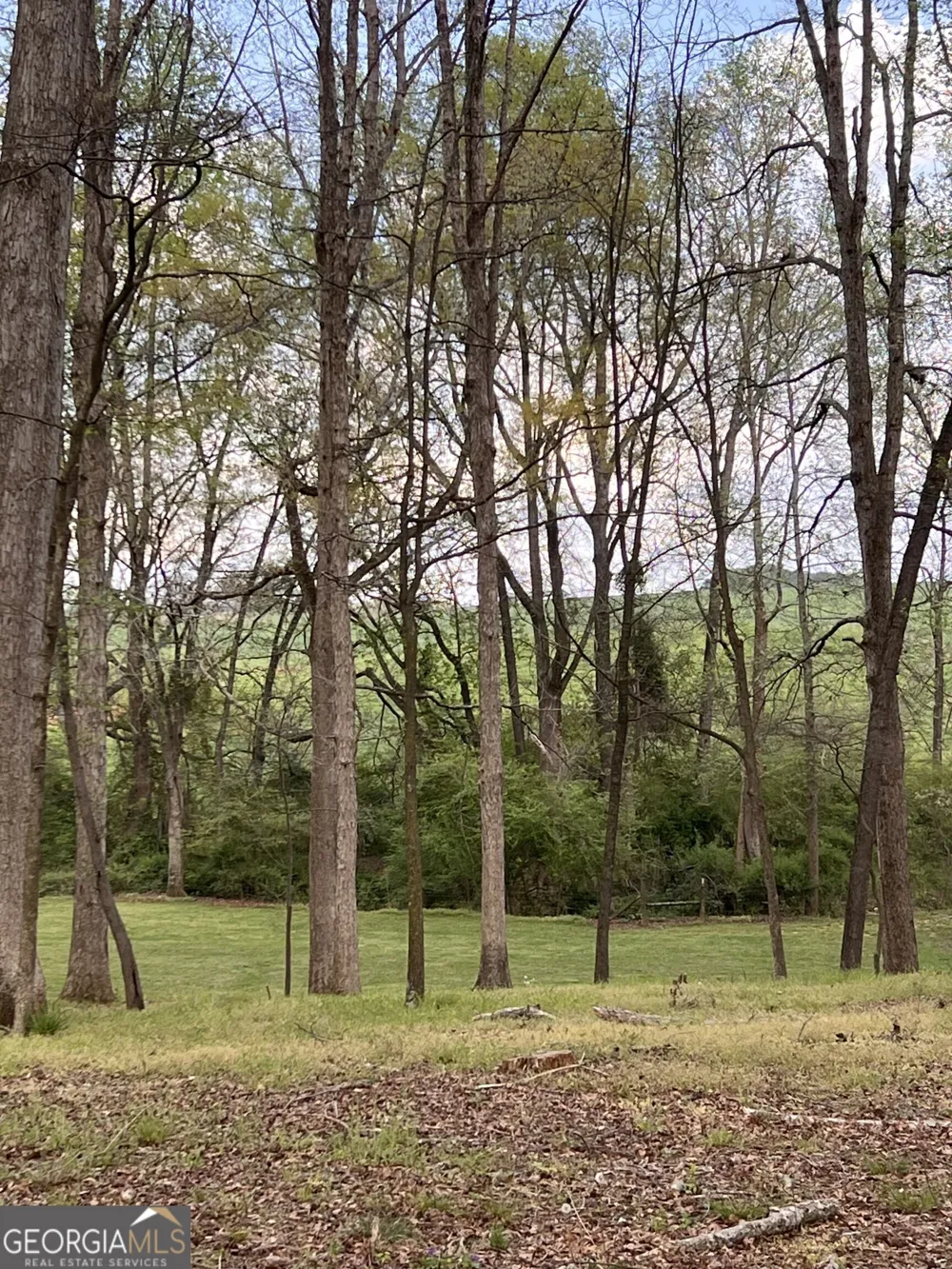 3386 Chandler RD Good Hope, GA 30641
