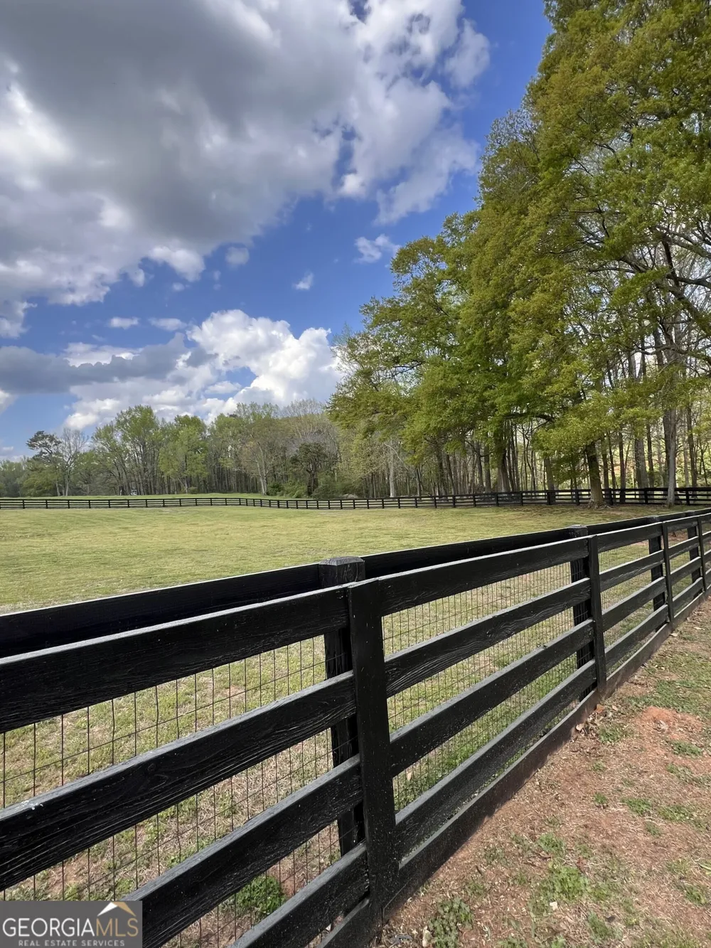 3386 Chandler RD Good Hope, GA 30641