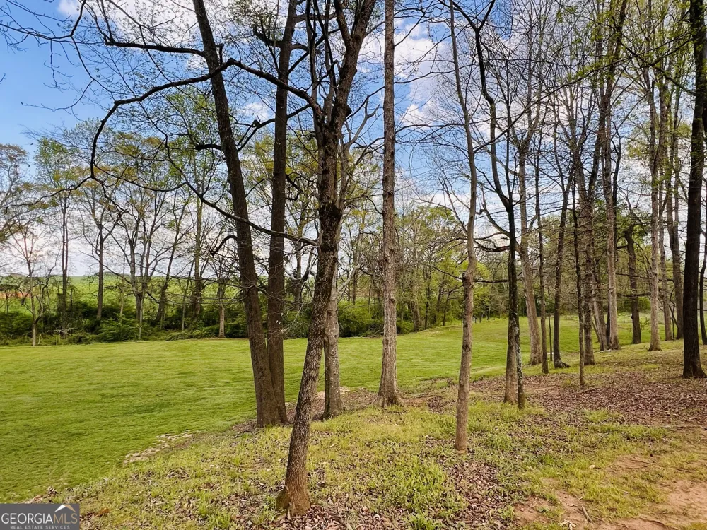 3386 Chandler RD Good Hope, GA 30641