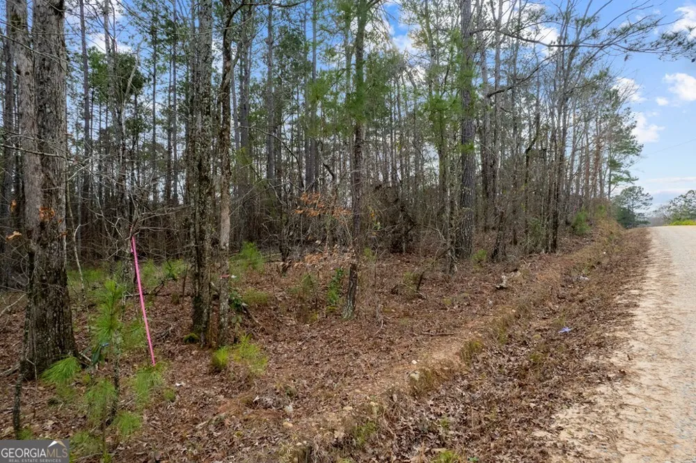 445 Lake Laurel RD NE Milledgeville, GA 31061