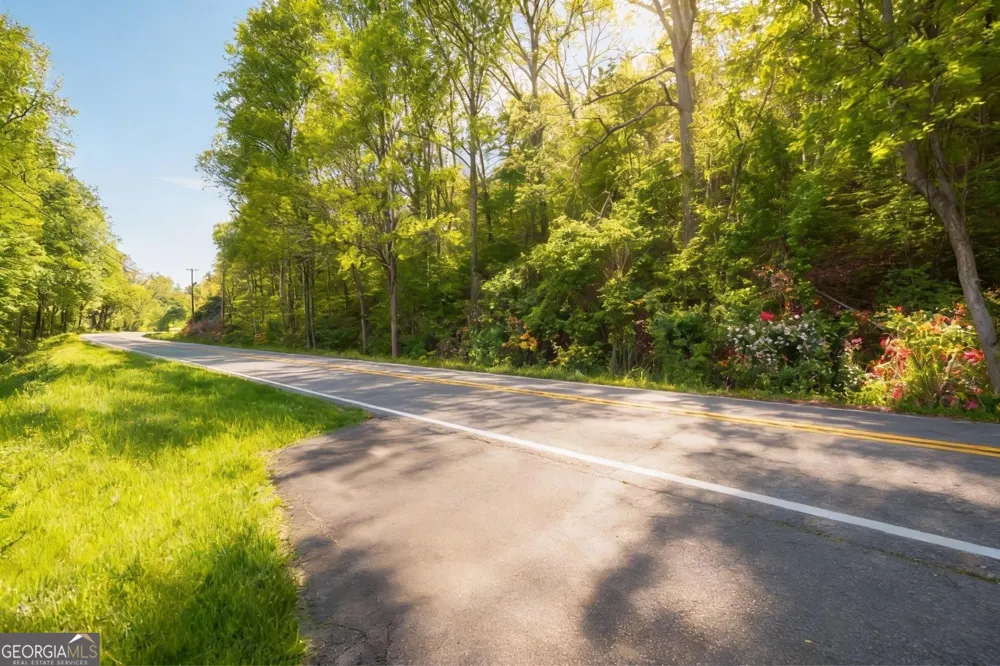 0 Auraria RD Dahlonega, GA 30533